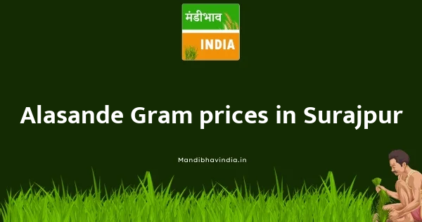 Alasande Gram price